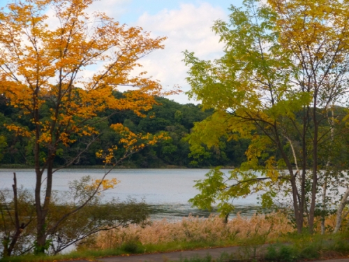 北方領土視察研修旅行の写真1