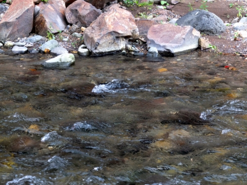 北方領土視察研修旅行の写真2