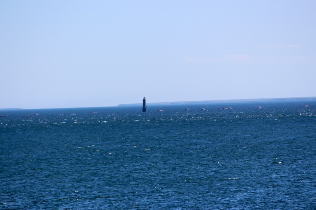 納沙布岬から貝殻島 国後島の写真1