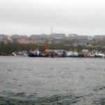 平成25年度北方四島交流「後継者」訪問事業の写真11