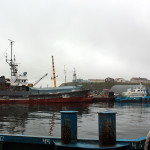 国後島 古釜布 沈没船3