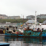 国後島 古釜布 沈没船4