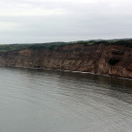 自然保護区の写真2