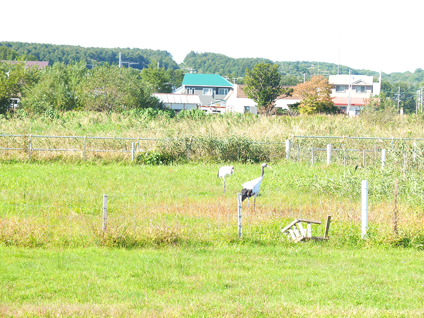 北方領土視察研修旅行の写真6