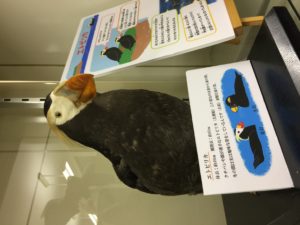 北方館 根室歴史資料館の様子6