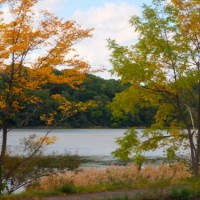 リンク：北方領土視察研修旅行を実施しました。