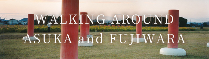 ASUKAFUJIWARAWALK