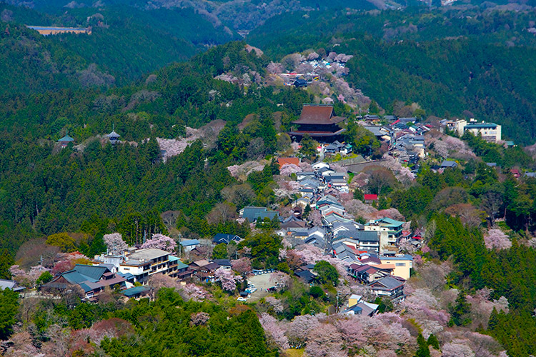 吉野山