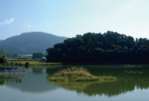 箸陵（はしはか）・上ツ道