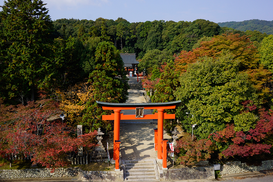 龍田大社の写真