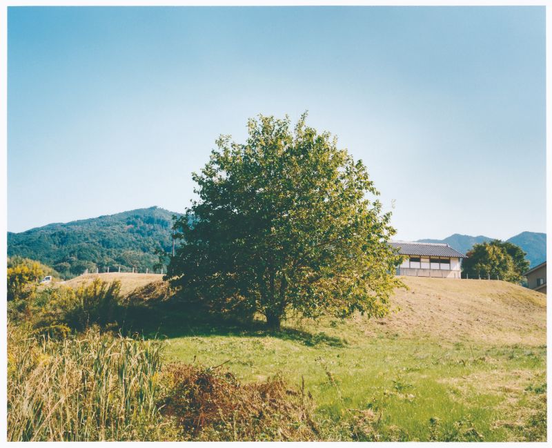 飛鳥京跡苑池の写真