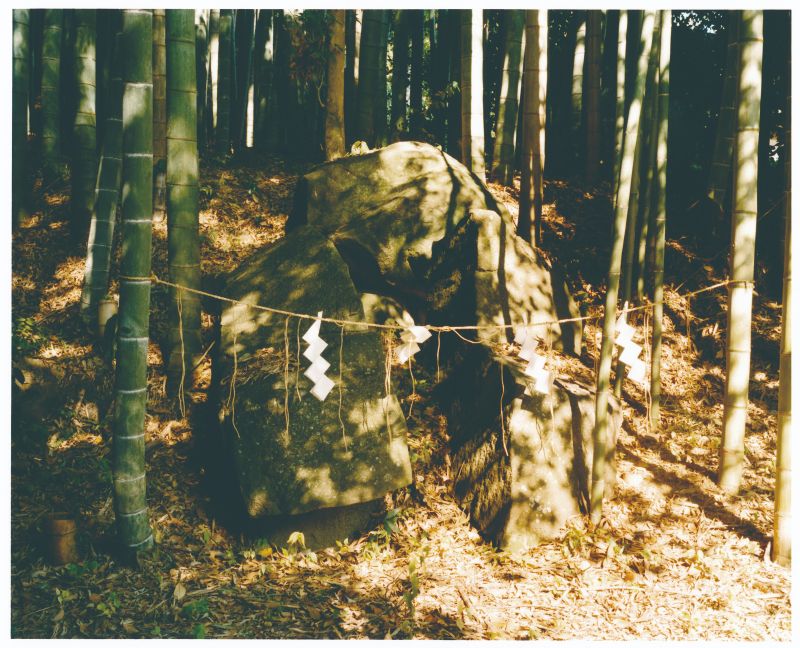 天岩戸神社の写真