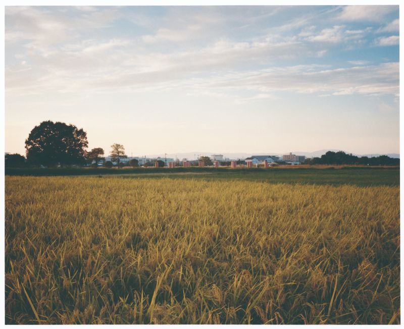 藤原宮跡・藤原京朱雀大路跡の写真2