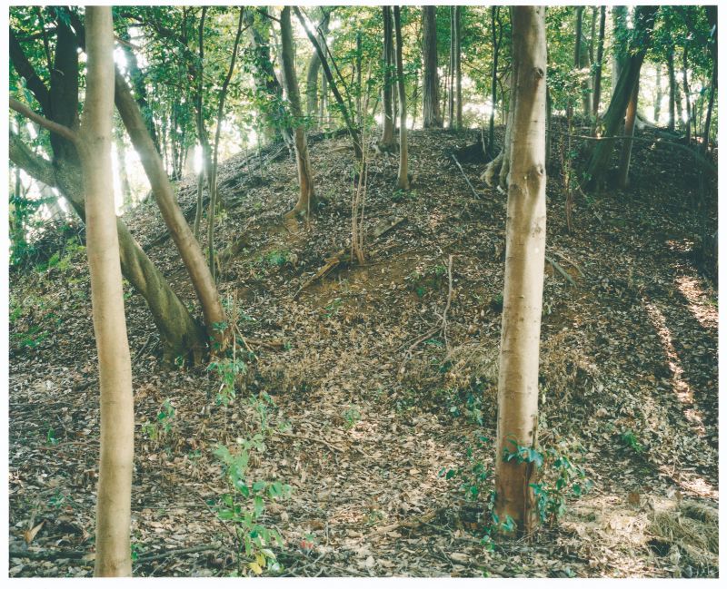 天武・持統天皇陵古墳の写真