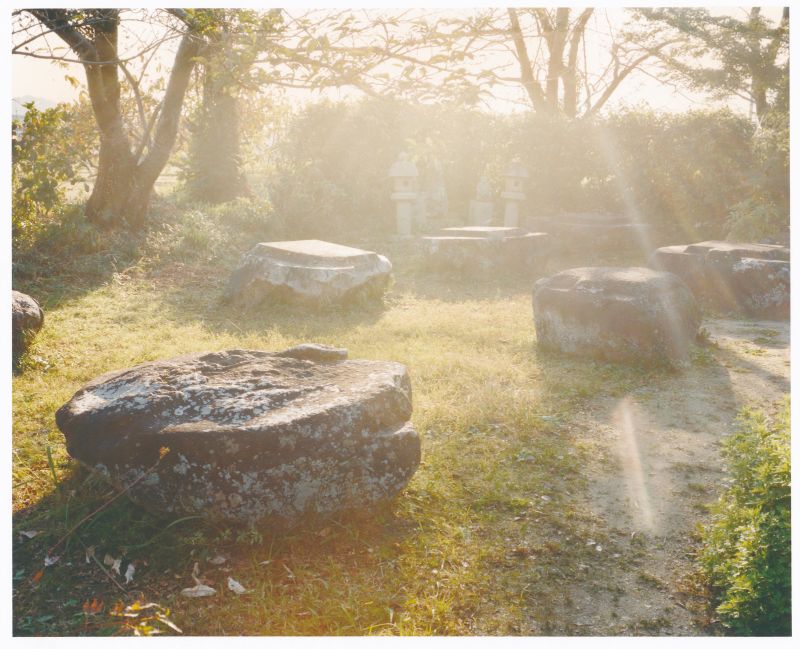 本薬師寺跡の写真2