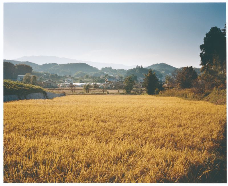 高松塚古墳からの景色