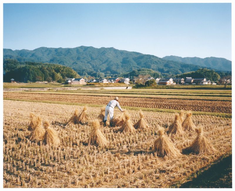 Daikandaiji Temple Site1