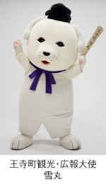 わたしのおすすめ