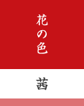 花の色(茜)