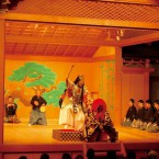 演能会の写真