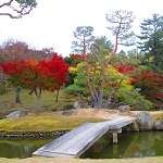 秋の前庭の写真