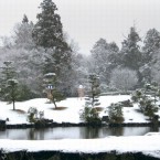 庭園の冬の写真