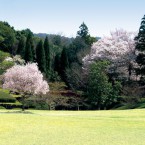 庭園の春の写真