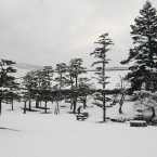 冬の前庭の写真1