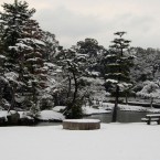 冬の前庭の写真2