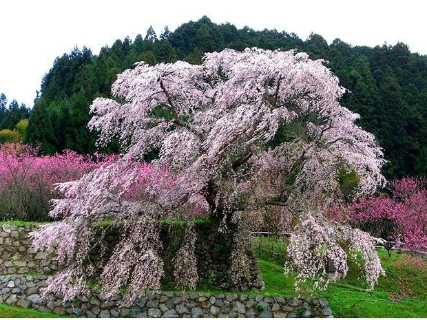 宇陀エリア 四季の写真