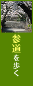 参道を歩く