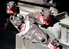 宝山寺の見どころ3-3