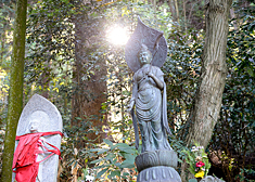 宝山寺の見どころ6-2