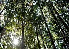宝山寺の見どころ7-2