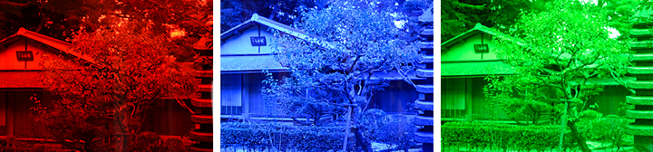 写真：明治に建てられた客殿重要文化財・獅子閣の魅力