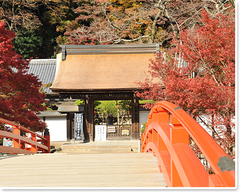 室生寺の見どころ1-1