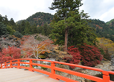 室生寺の見どころ1-4