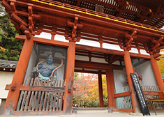 室生寺の見どころ2-2