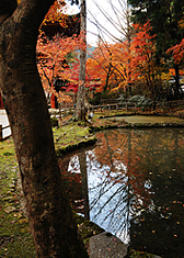 室生寺の見どころ2-3