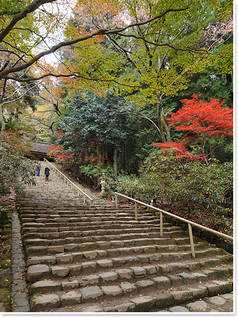 室生寺の見どころ3-1