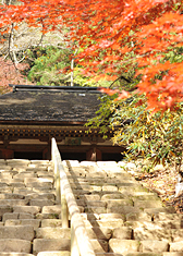 室生寺の見どころ3-2