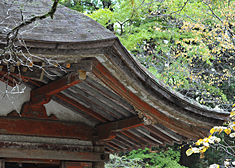 室生寺の見どころ6-3