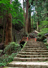 室生寺の見どころ9-2