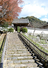 長谷寺の見どころ2-3