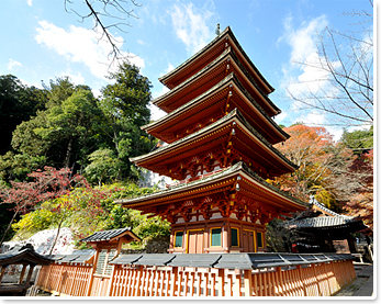 長谷寺の見どころ8-1