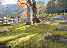 長谷寺の見どころ8-2