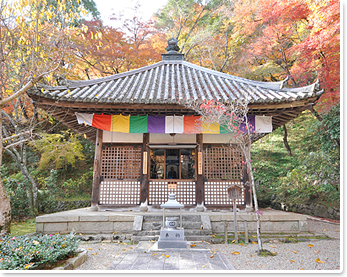 長谷寺の見どころ9-1