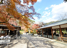 長谷寺の見どころ9-2