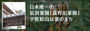 日本唯一の私営薬園「森野旧薬園」宇陀松山は薬のまち