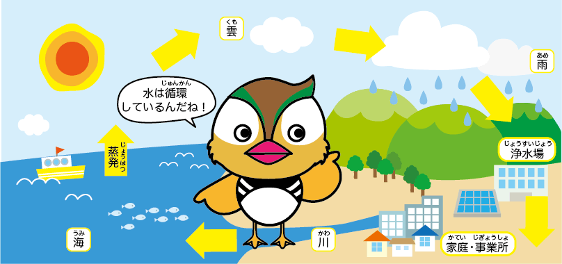 水の循環図